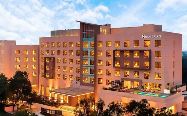 Hotel Olive/similar
